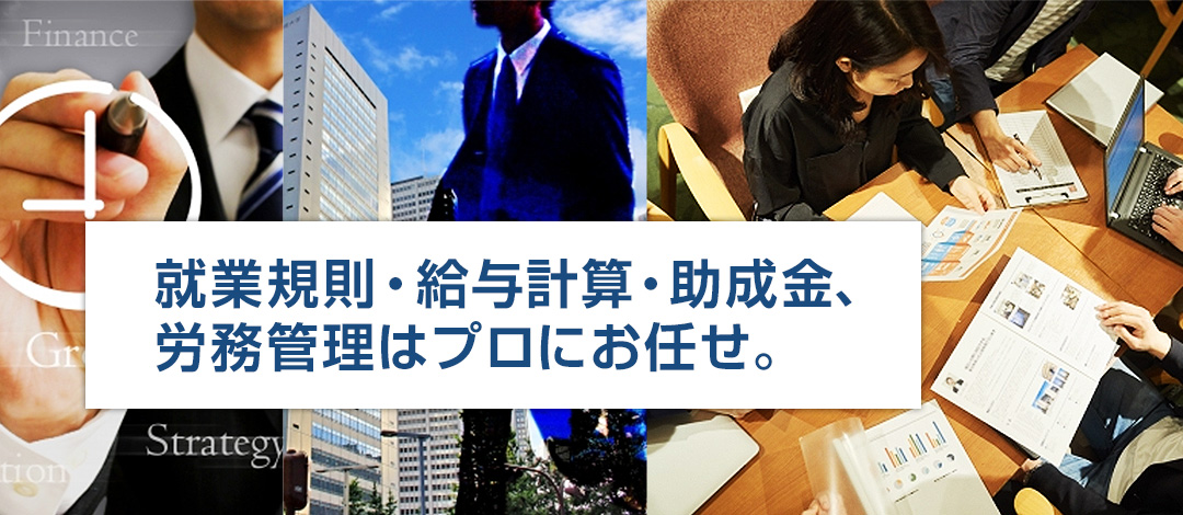 保険業法法規集 １９９６年/保険毎日新聞社/保険制度研究会